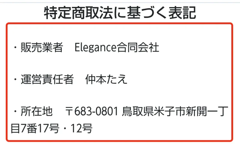 Elegance合同会社と仲本たえの名前が記載された販売条件