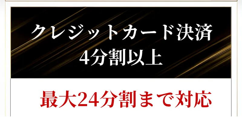 「クレジットカード決済 4分割以上」という黒い帯の下に、赤い文字で「最大24分割まで対応」と書かれた申込ページ