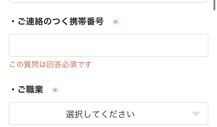ご職業の選択欄と、現状気にしていることという必須項目の先頭に住宅ローン・医療ローン・車のローンという選択肢が並んでいる受取登録のフォーム