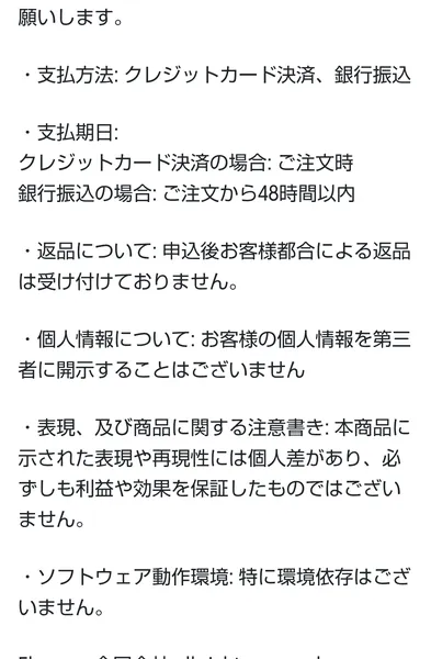 FINAL PROJECTの自己都合返品不可と利益や効果を保証しない記載