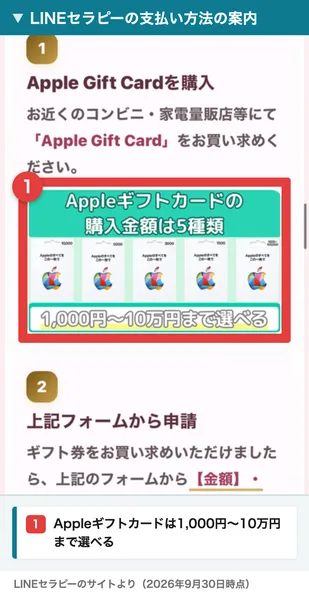 LINEセラピーの支払い方法の案内。お近くのコンビニ・家電量販店等にてApple Gift Cardをお買い求めください、購入金額は5種類で1,000円〜10万円まで選べる、上記フォームから金額などを申請と書かれている