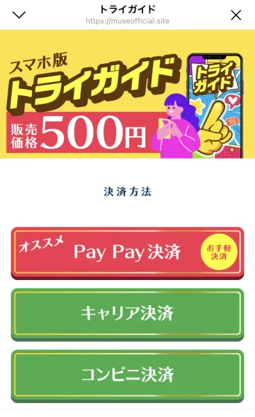 スマホ版トライガイド 販売価格500円という見出しと、PayPay決済（オススメ）・キャリア決済・コンビニ決済という3つのボタンが並ぶ決済ページ