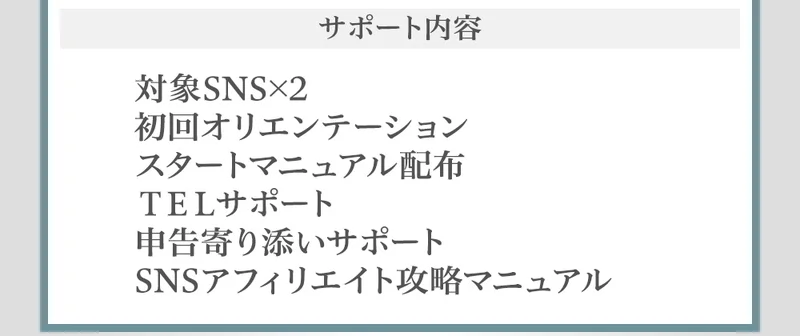 プラン案内ページのサポート内容の欄。対象SNS×2、初回オリエンテーション、スタートマニュアル配布、TELサポート、申告寄り添いサポート、SNSアフィリエイト攻略マニュアルと並んでいる