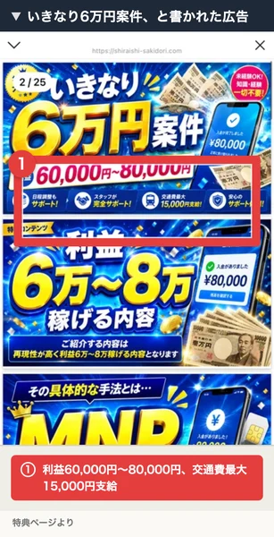 いきなり6万円の副業、利益60,000円〜80,000円と書かれた特典ページ