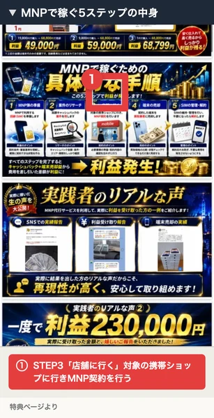 MNPで稼ぐための5ステップと実践者の声が書かれた特典ページ
