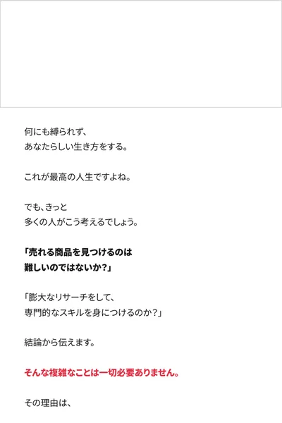 人の経験 × AI分析で売れる商品だけを見抜く仕組み、選んだ商品をこのシステムに送るとプロ講師とチームが目視で厳しくチェックすると書かれた広告の本文